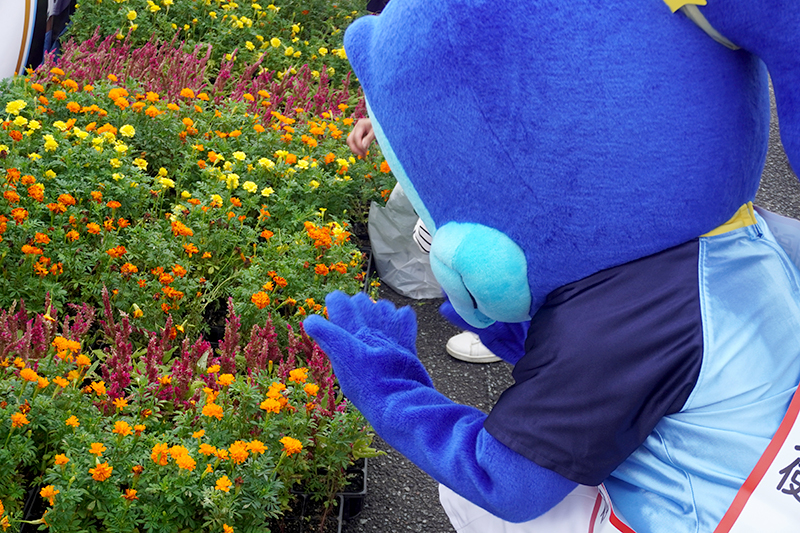 hometown_report